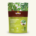 Green plants - square format