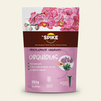 Orchids - square format